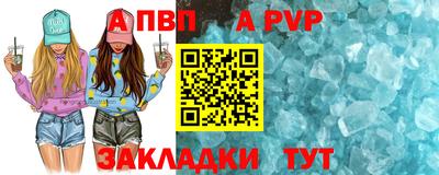 гашик Тара